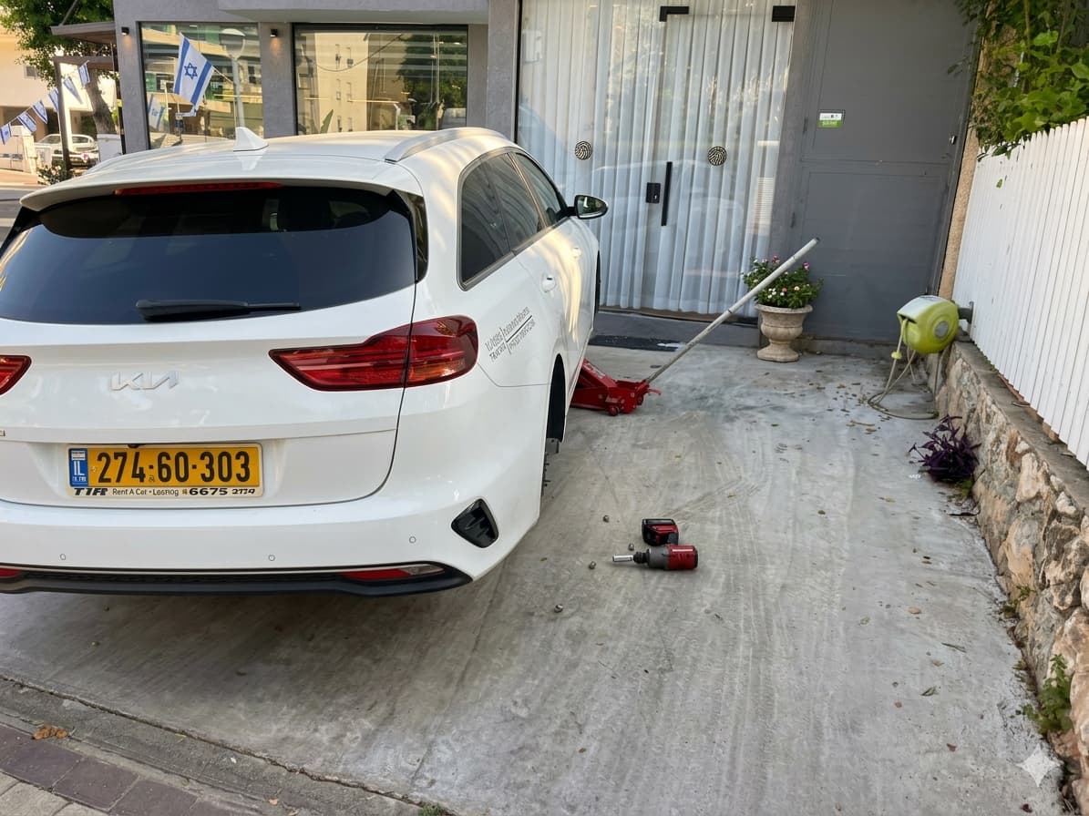 שירות מקצועי